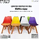 Tulip Chair